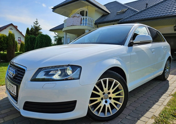 Audi A3 cena 34900 przebieg: 156000, rok produkcji 2010 z Gryfice małe 781